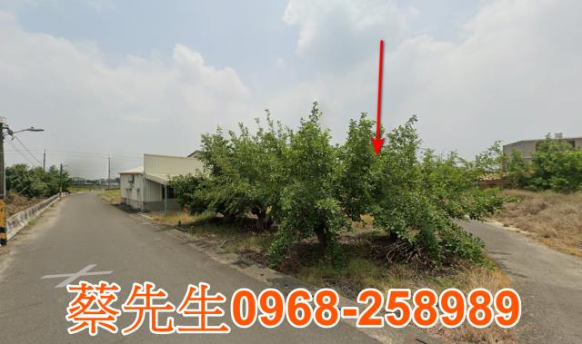 台南六甲建地法拍-3