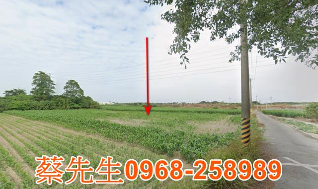 鹽水法拍農地-12