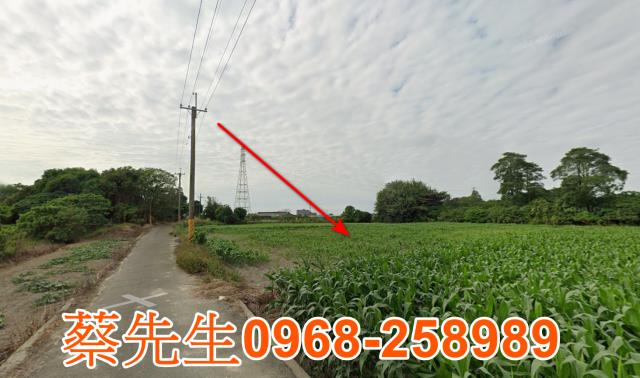 鹽水法拍農地-5
