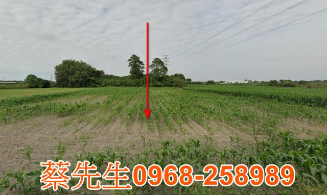 鹽水法拍農地-8
