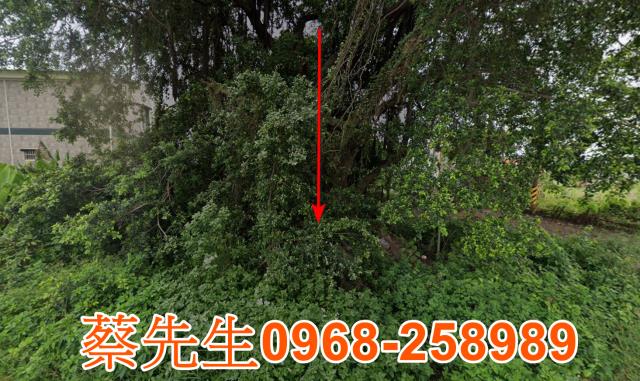 鹽水建地法拍-11