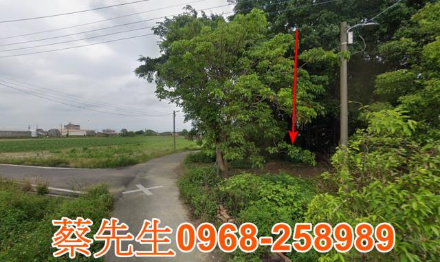 鹽水建地法拍-14