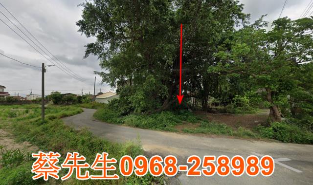 鹽水建地法拍-5