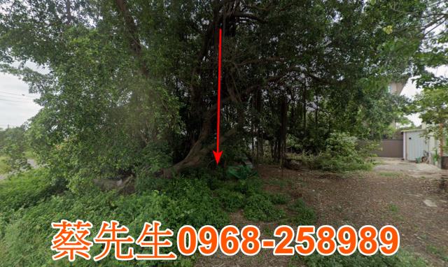 鹽水建地法拍-8