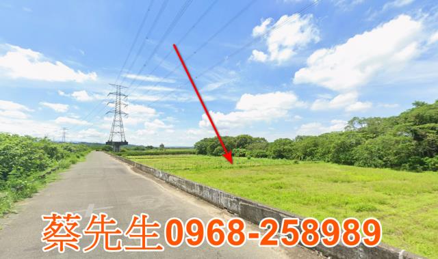 台南農地法拍-11