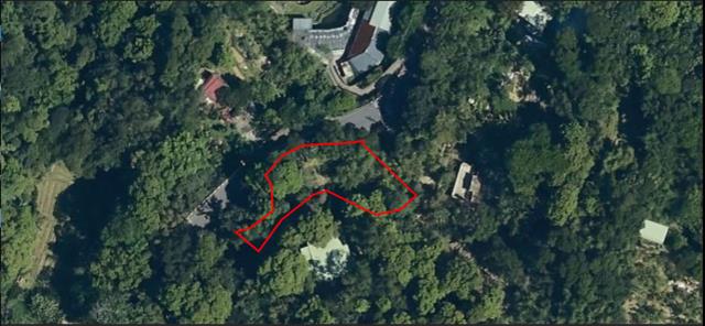 文山區法拍種菜地-9