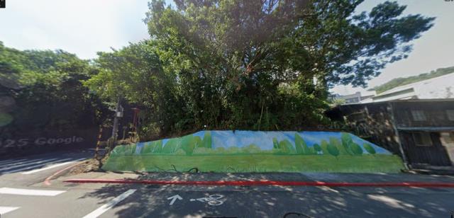 南港法拍種菜地-7