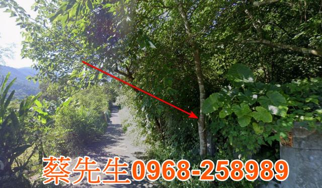 大同建地法拍-13