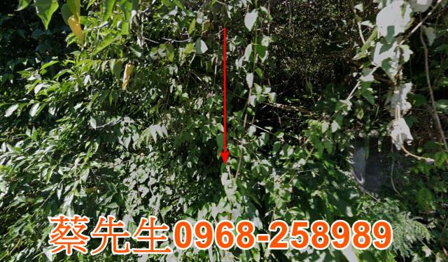 大同建地法拍-0