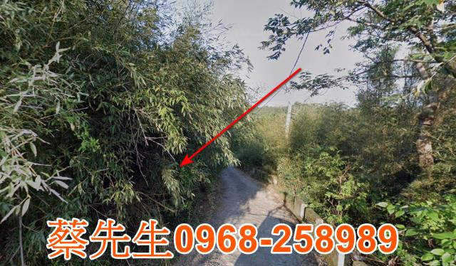 苗栗法拍農地-11