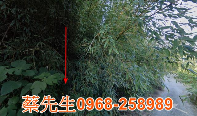 苗栗法拍農地-0