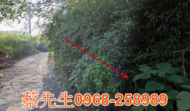 苗栗法拍農地-5