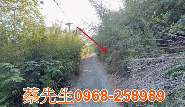 苗栗法拍農地-6