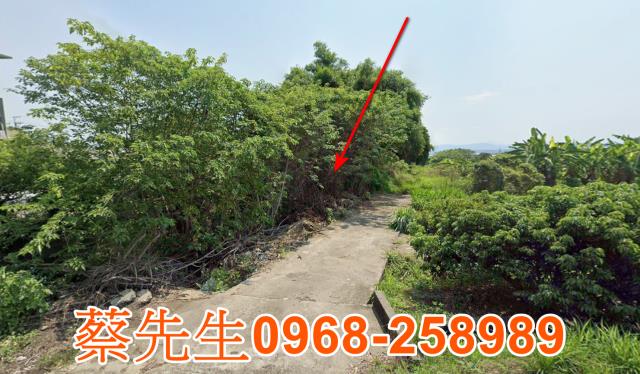 南投農地法拍-12