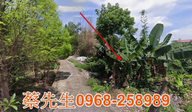 南投農地法拍-13