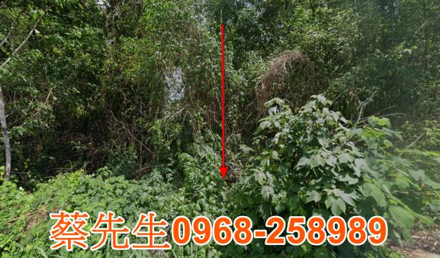 南投農地法拍-0