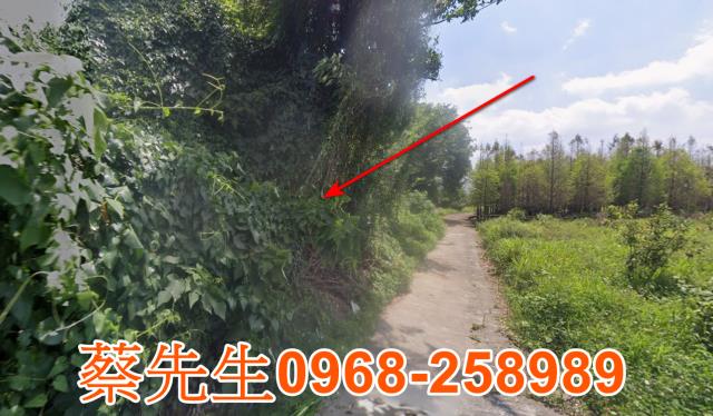 南投農地法拍-3