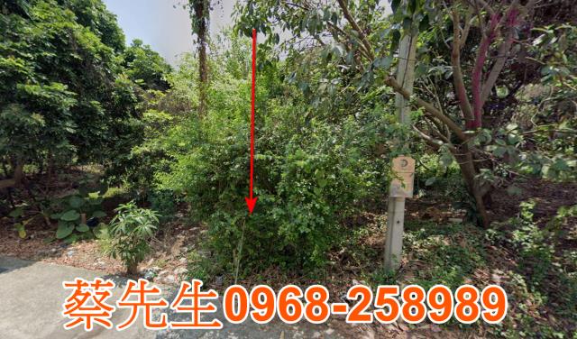 南投農地法拍-8