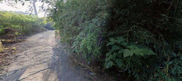 苗栗苗栗市法拍農地-11