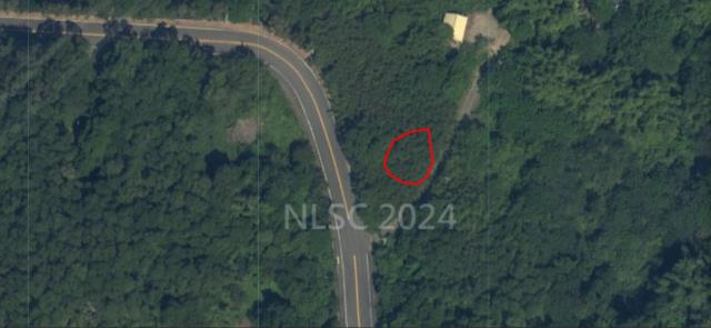 苗栗苗栗市法拍農地-1