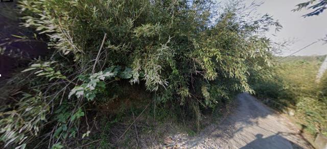 苗栗苗栗市法拍農地-8