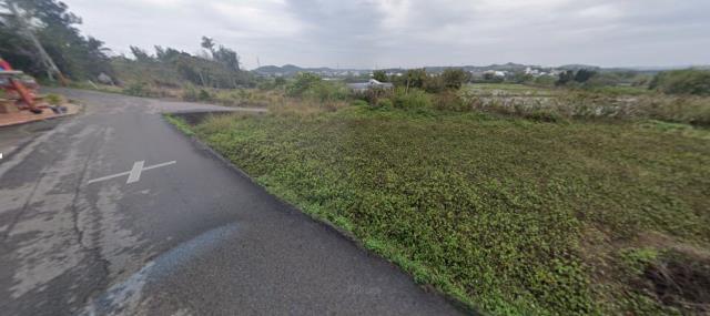 苗栗通霄法拍農地-4