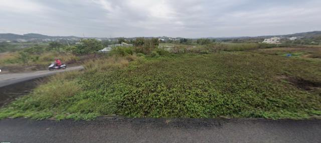 苗栗通霄法拍農地-8