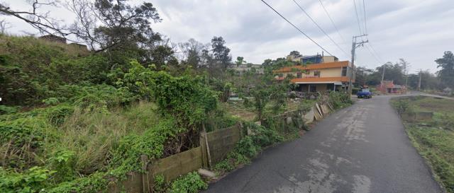 苗栗通霄農地法拍-4