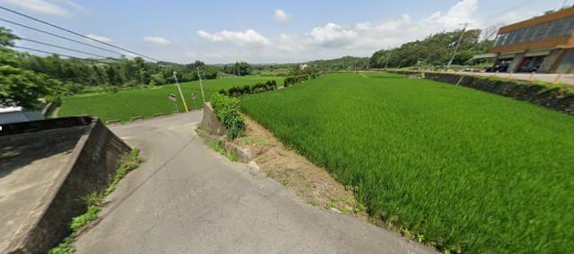苗栗通霄農地拍賣-3