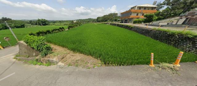 苗栗通霄農地拍賣-7