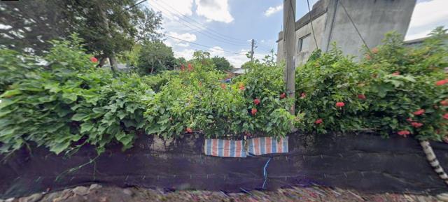 苑裡農地法拍-7