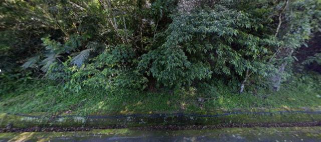 南庄農地法拍-0