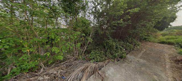 草屯農地法拍-8