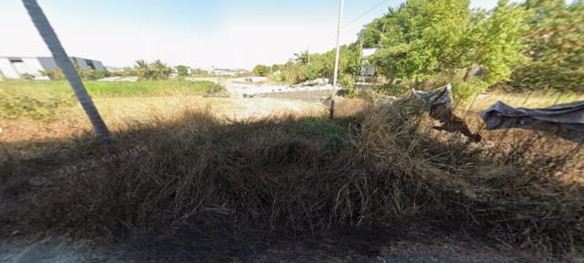 草屯農地法拍-11