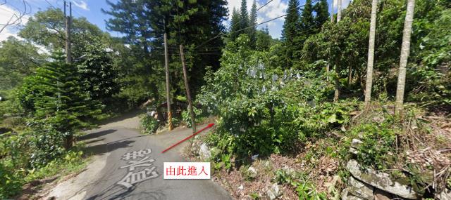 草屯農地法拍-11