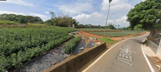 南投南投市法拍農地-3