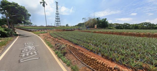 南投南投市法拍農地-4