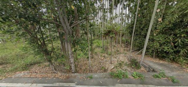 南投魚池建地法拍-7