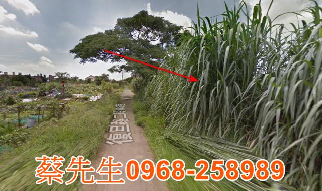 桃園法拍農地-14