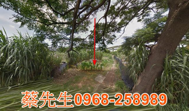 桃園法拍農地-0