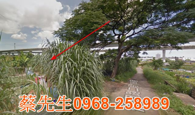 桃園法拍農地-3