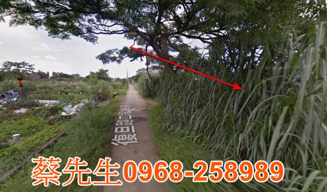 桃園法拍農地-5