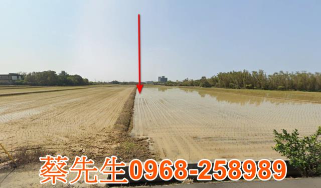 桃園新屋農地法拍-0