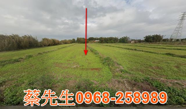 桃園觀音法拍農地-0