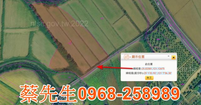 桃園觀音法拍農地-2