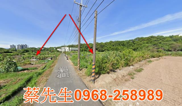 八德法拍農地-14