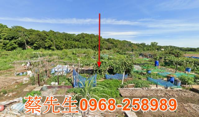 八德法拍農地-8