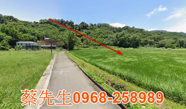 大溪農地法拍-3