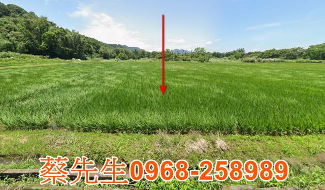 大溪農地法拍-8