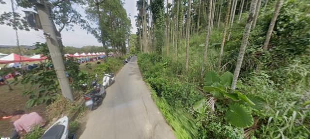 台中東勢徵收地法拍-3